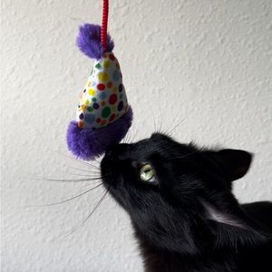 Meet your Posher, Michaela